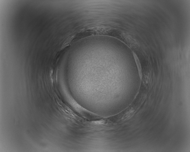 X0000072981010200607211243
