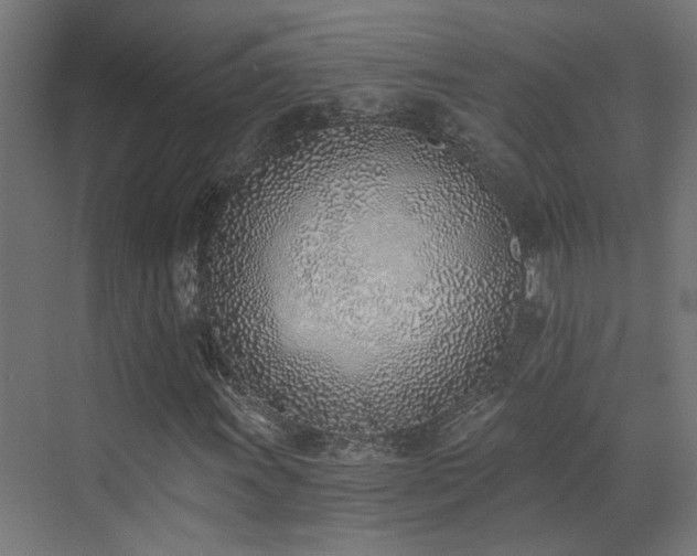 X0000072981011200607211243