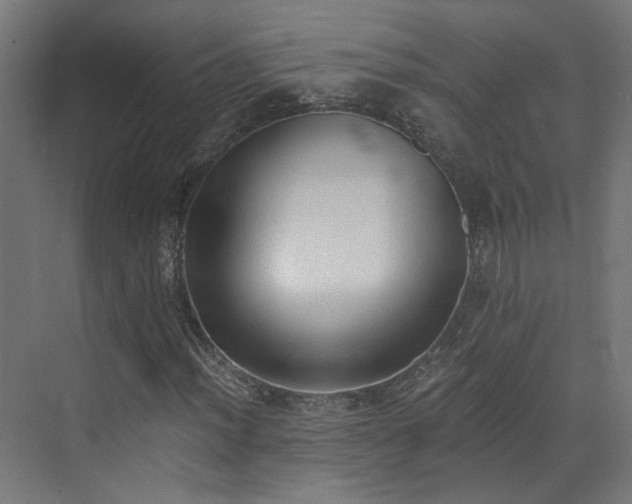 X0000072981012200607211243