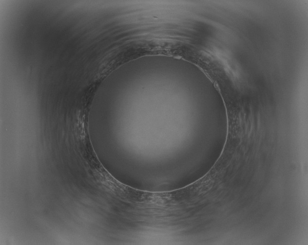 X0000072981013200607211243