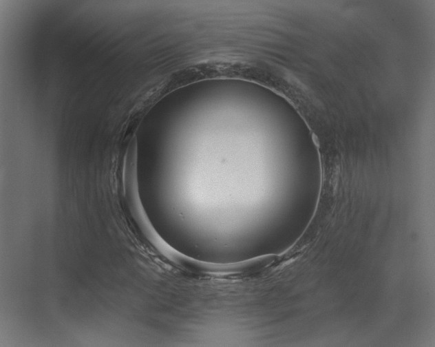 X0000072981014200607211244