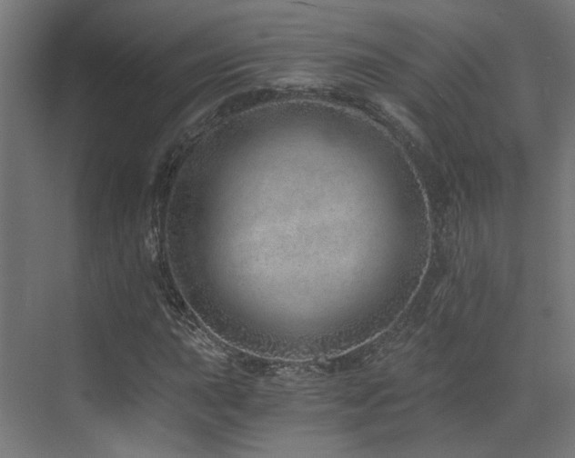 X0000072981015200607211244