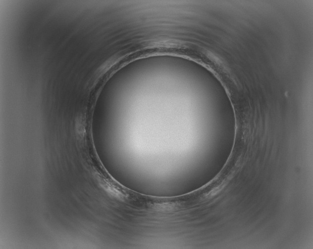 X0000072981017200607211244