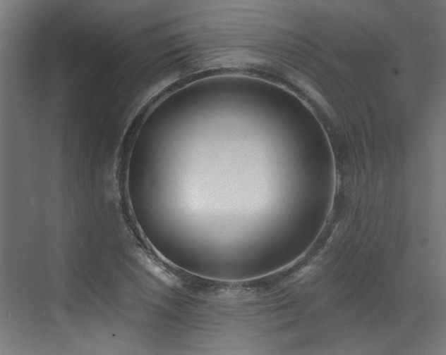 X0000072981026200607211244