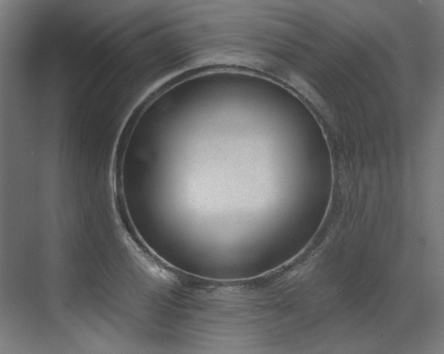X0000072981028200607211244