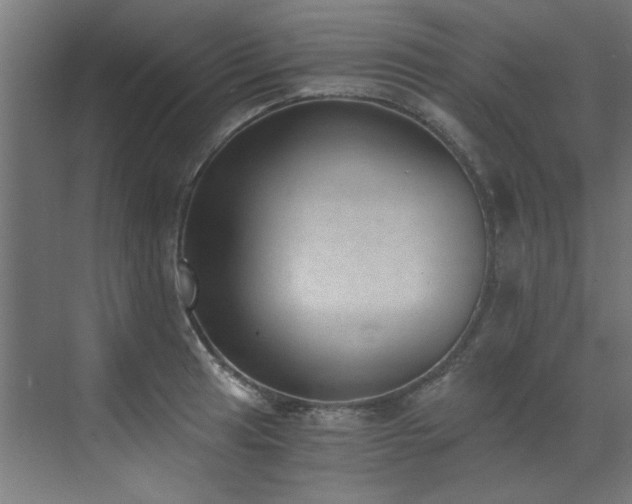 X0000072981041200607211244