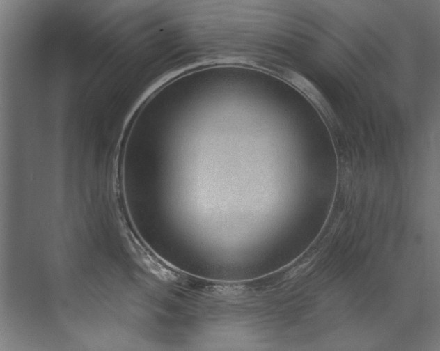 X0000072981052200607211244