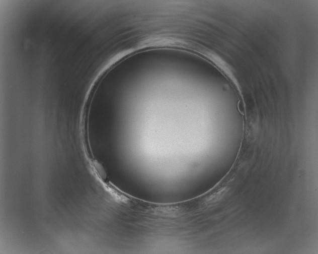 X0000072981053200607211244