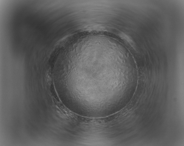 X0000072981063200607211243
