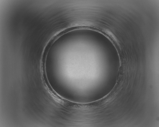 X0000072981072200607211243