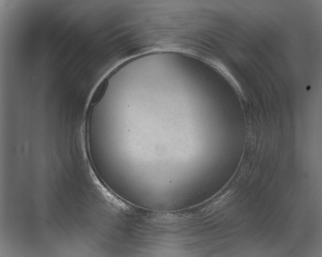 X0000072981100200607211243