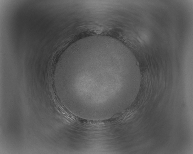 X0000072981105200607211242