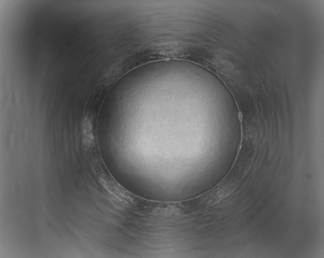 X0000072981106200607211242