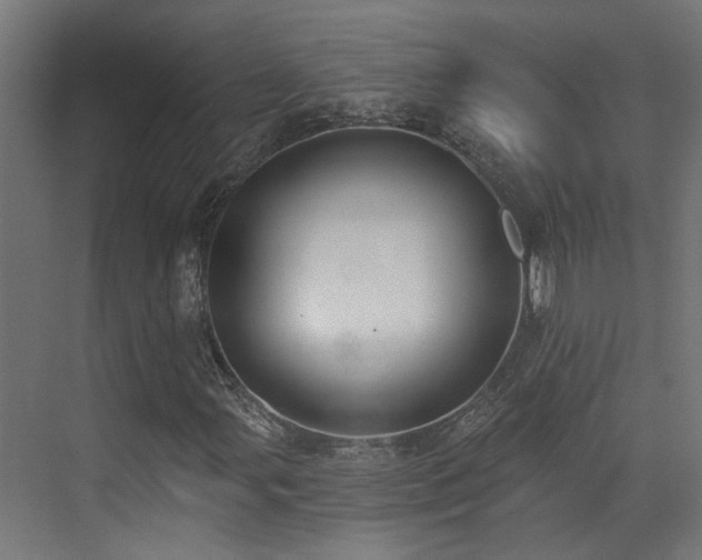 X0000072981107200607211242