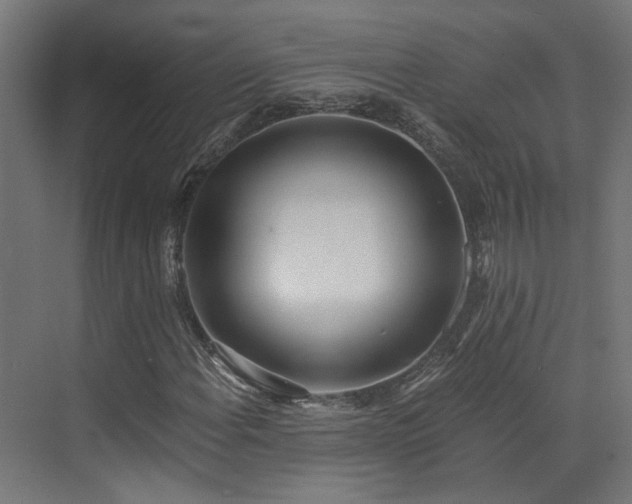 X0000072981108200607211242