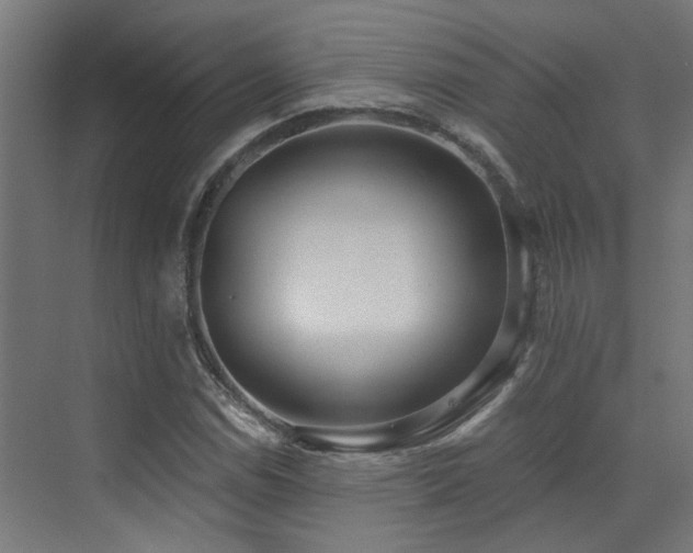 X0000072981114200607211242