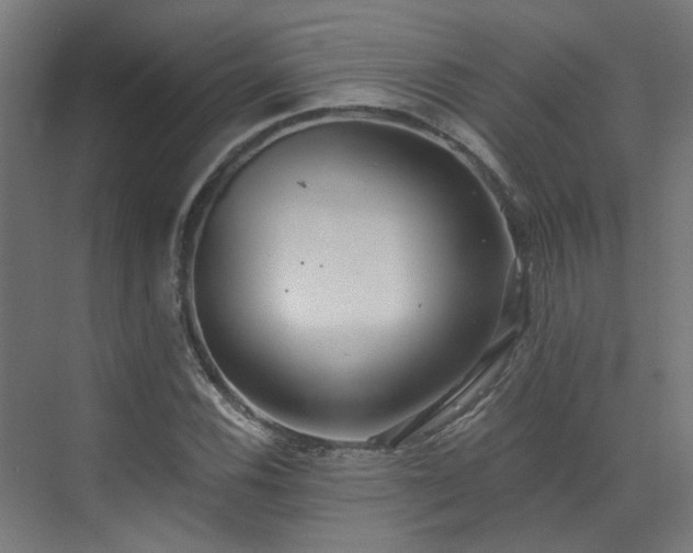 X0000072981116200607211242