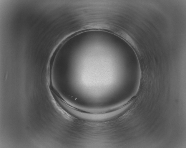 X0000072981132200607211242
