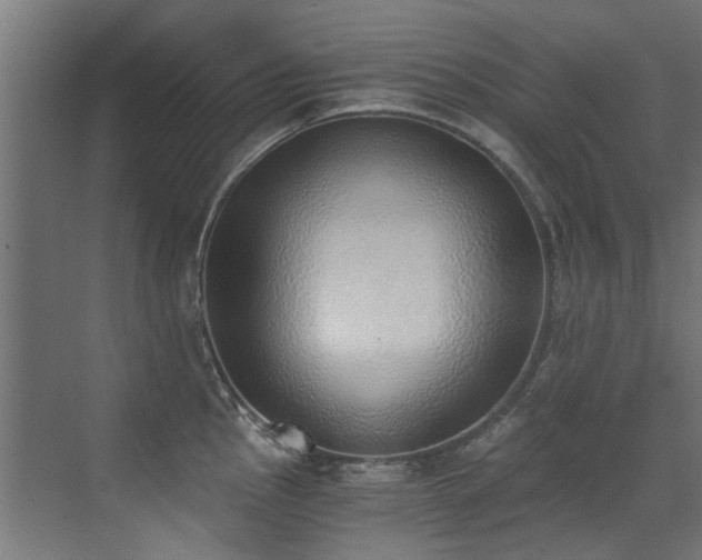 X0000072981145200607211242