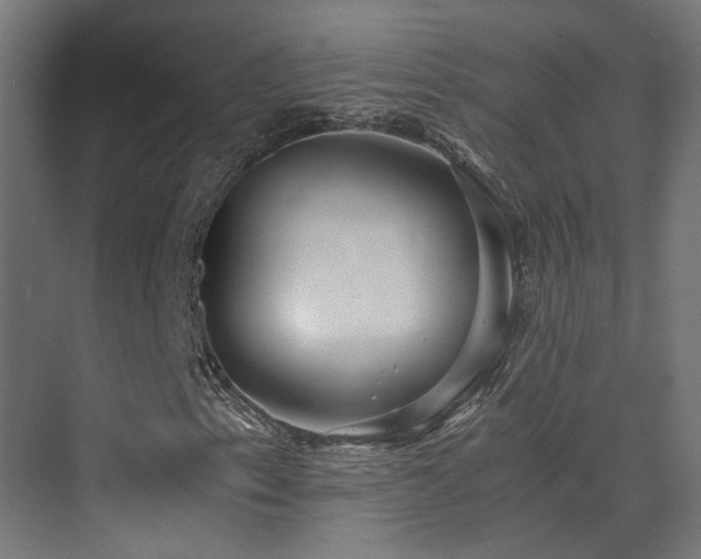 X0000072981153200607211242