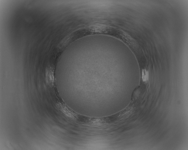 X0000072981155200607211242