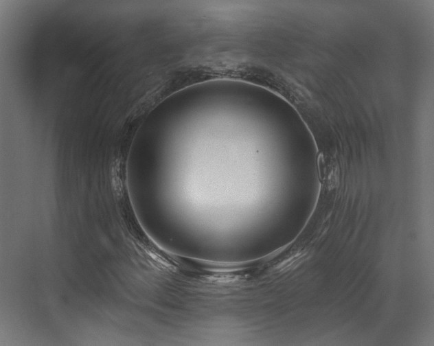 X0000072981156200607211242