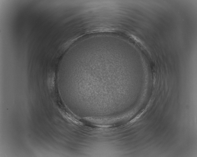 X0000072981161200607211242
