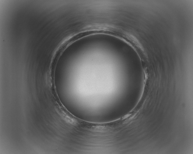 X0000072981172200607211241