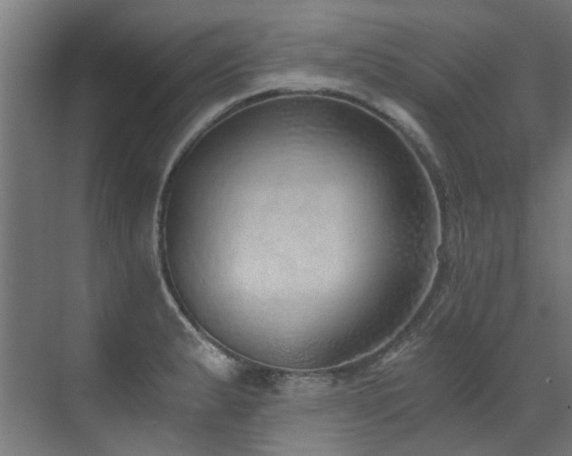 X0000072981183200607211241