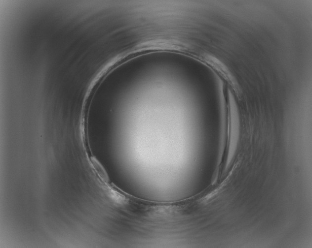 X0000072981188200607211241