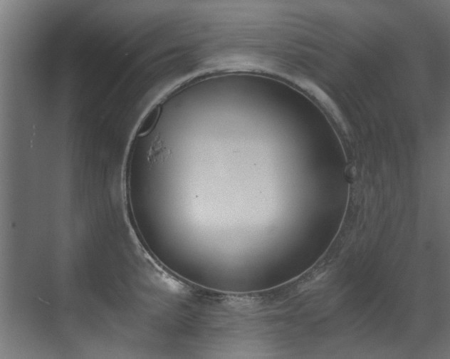 X0000072981191200607211241