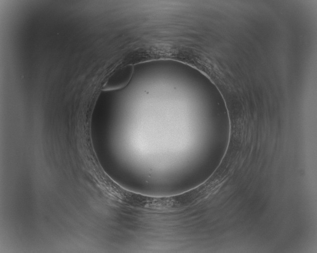 X0000072981201200607211240