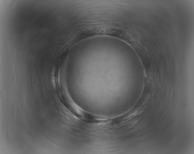 X0000072981202200607211240
