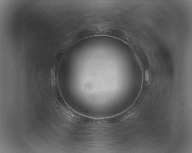 X0000072981203200607211240