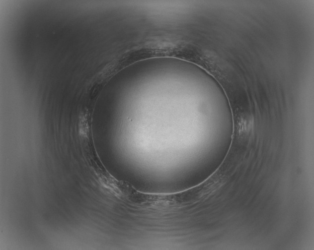 X0000072981204200607211240