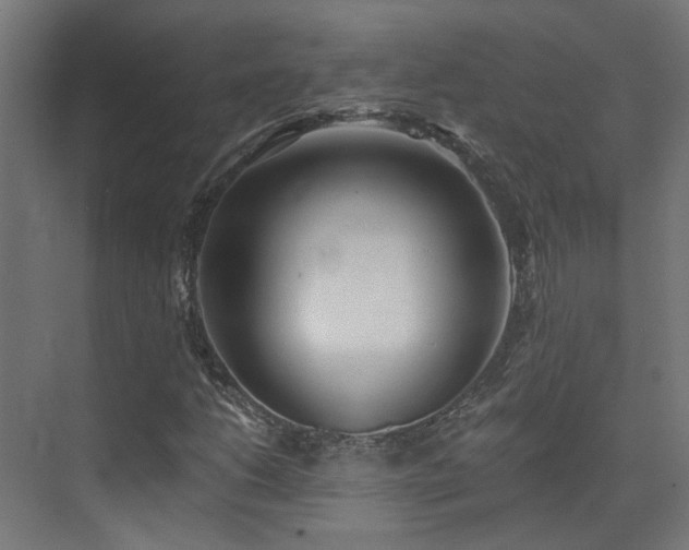 X0000072981206200607211240