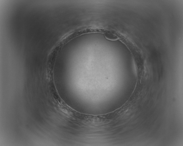 X0000072981207200607211240