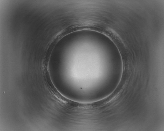 X0000072981210200607211240