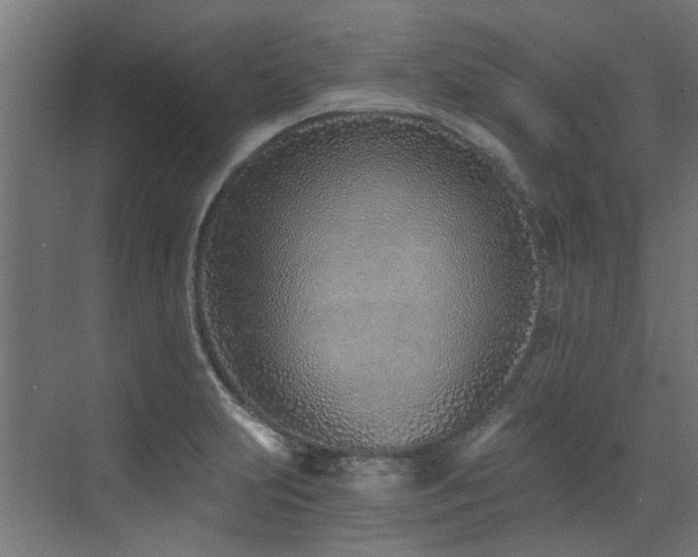X0000072981231200607211241