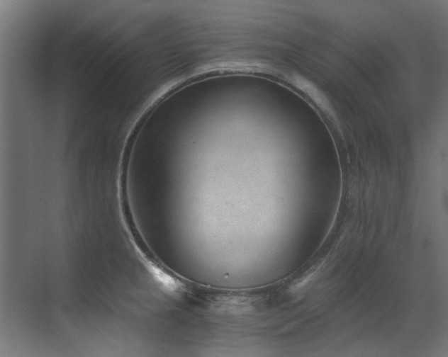 X0000072981237200607211241