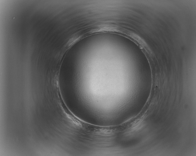 X0000072981241200607211241