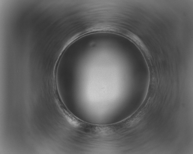 X0000072981242200607211241