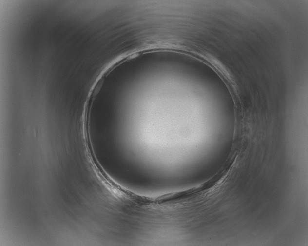 X0000072981246200607211241
