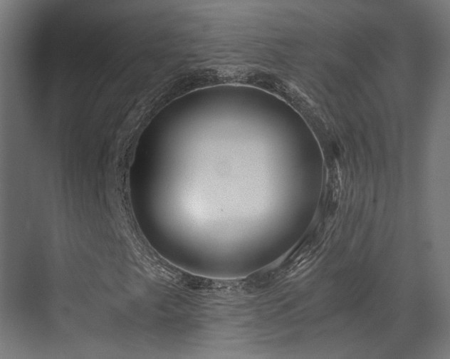 X0000072981249200607211240