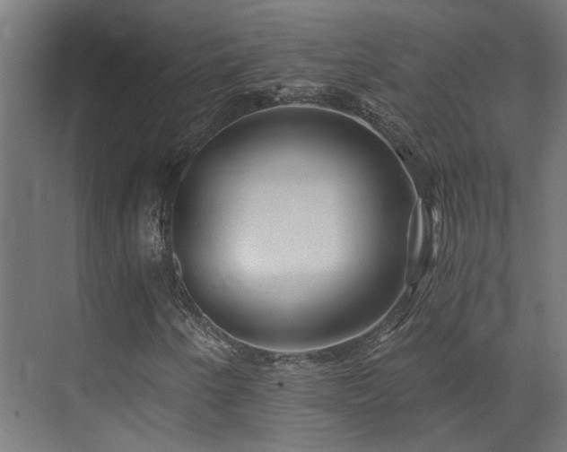 X0000072981250200607211240