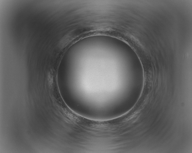X0000072981257200607211240