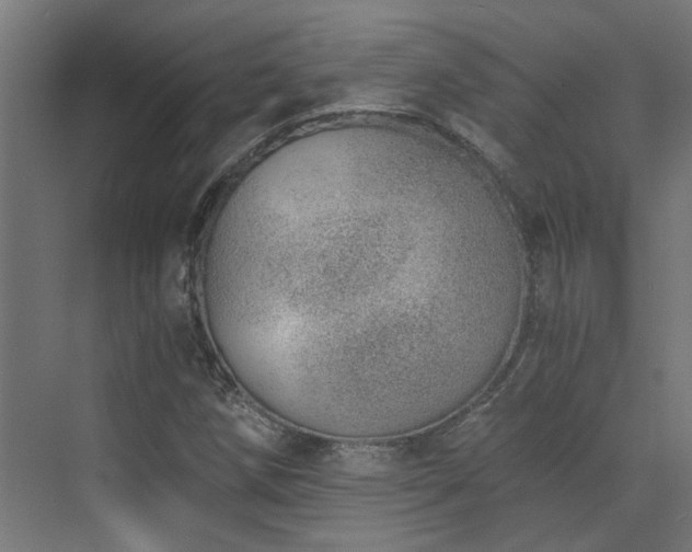 X0000072981258200607211240