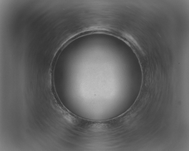 X0000072981268200607211240