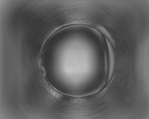 X0000072981284200607211240