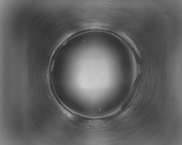 X0000072981285200607211240